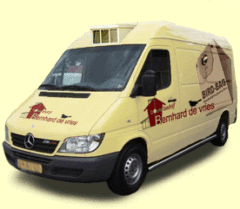 merc-geelzachtergr.gif