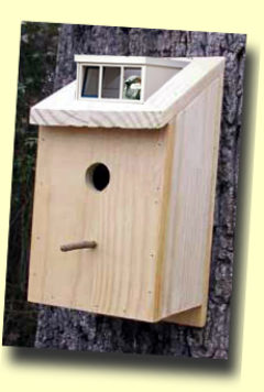 vogelhuisje met dakkapel