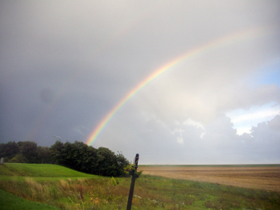 uitzicht vanuit werkplaats uitzicht vanuit werkplaats