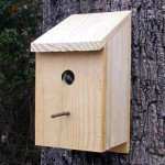 vogelhuis met dubbelglas